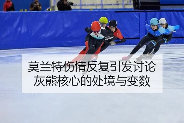 莫兰特伤情反复引发讨论 灰熊核心的处境与变数